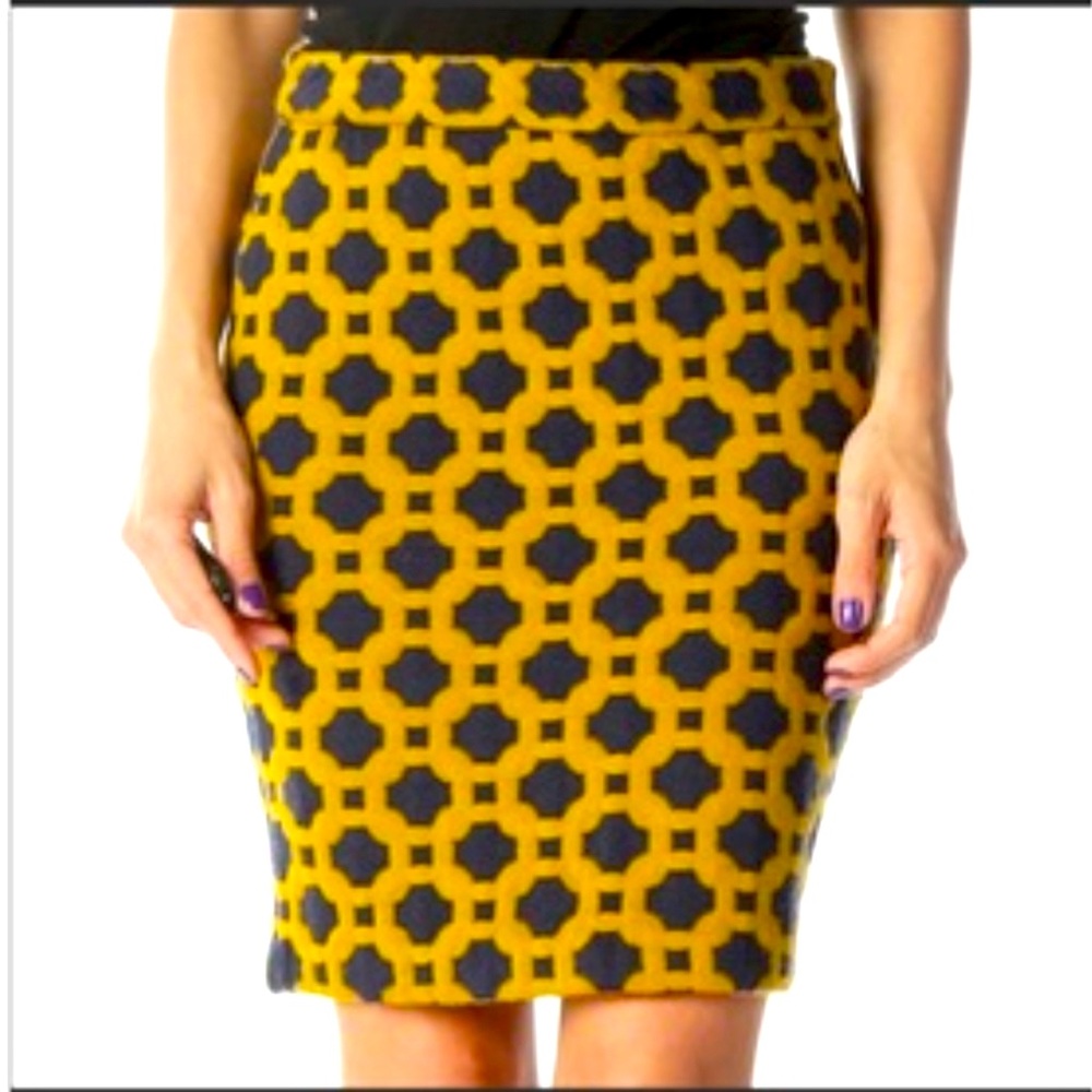 Anthropologie Skirt By Charlie And Robin